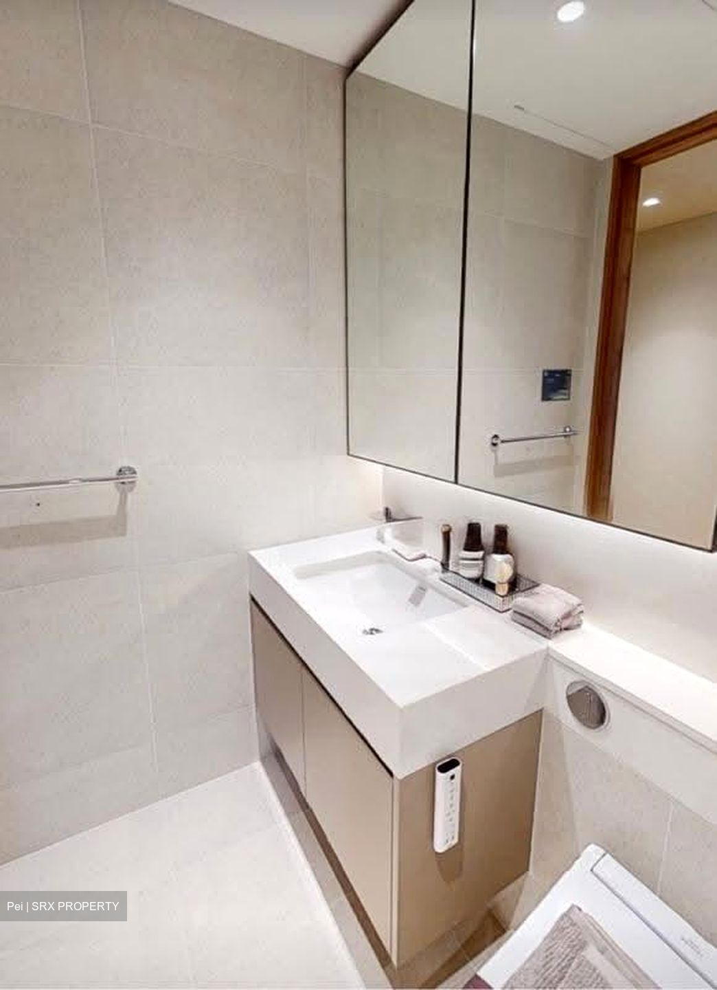 The Reserve Residences (D21), Apartment #613358851